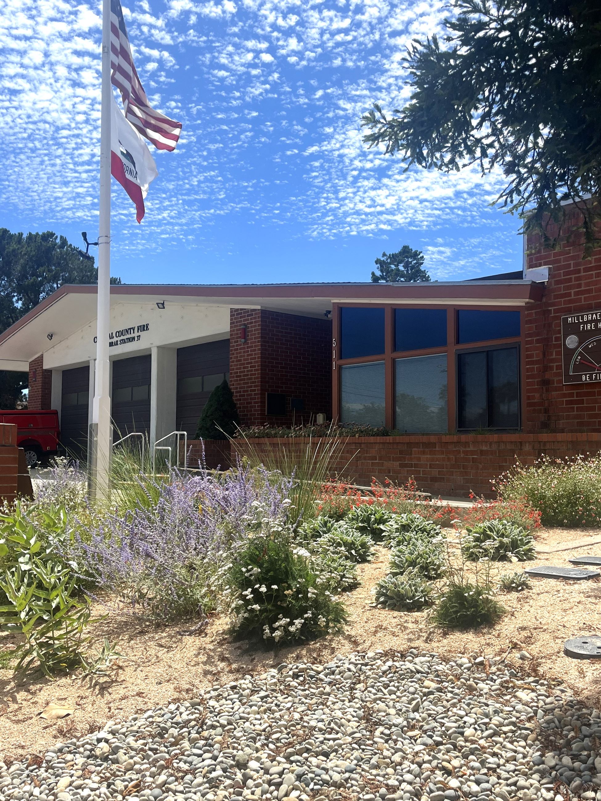 Drought Tolerant Landscaping City Hall