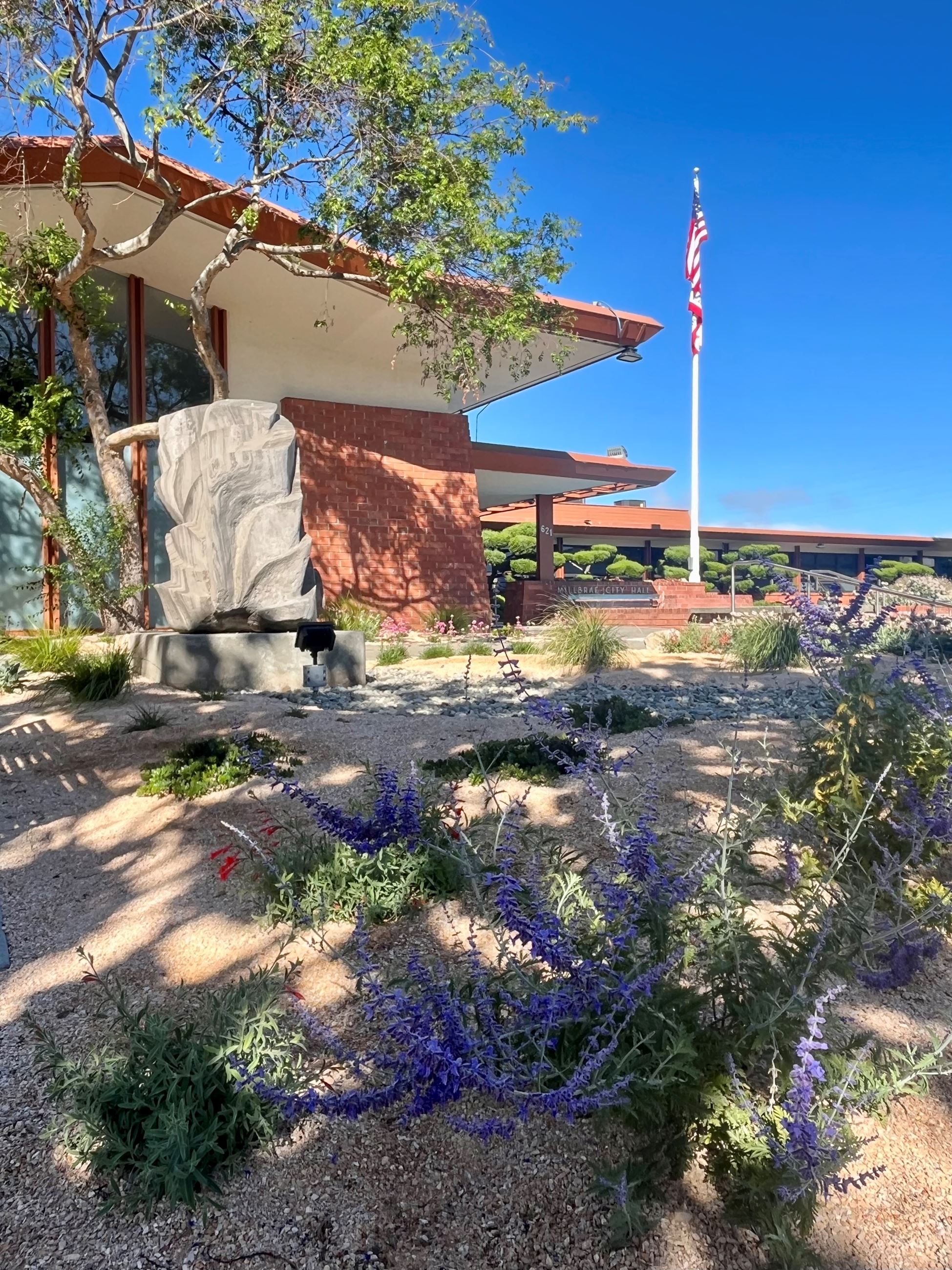 Drought Tolerant Garden