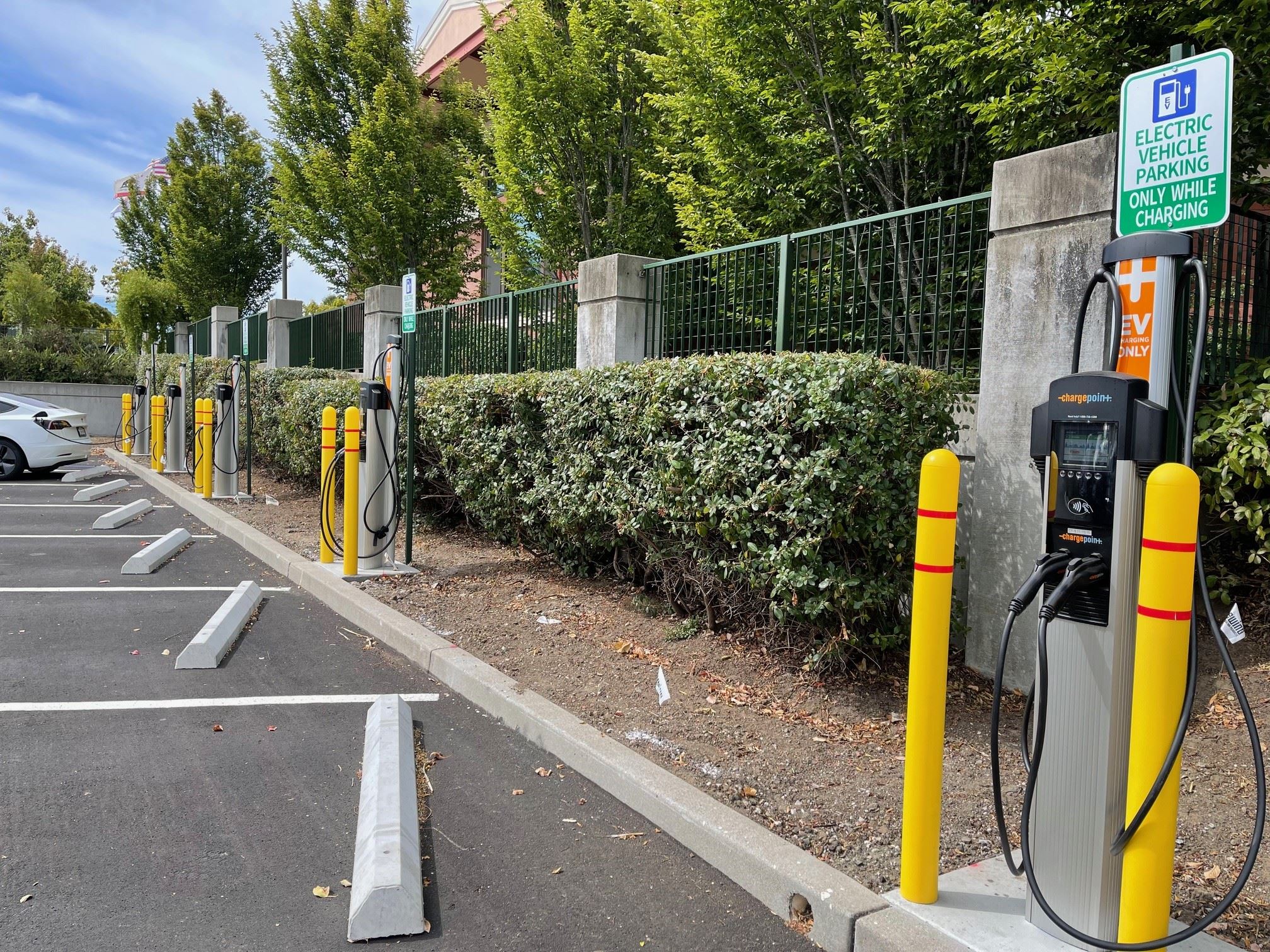 City Hall EV Chargers